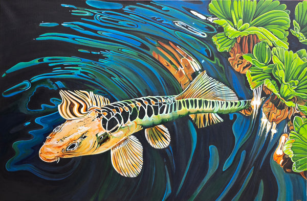 Ghost Koi 